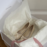 Chloé ballet flats (40)